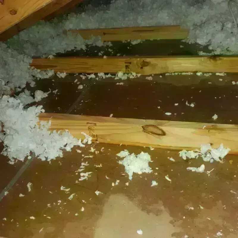 Attic Water Damage in Holly Ridge, NC