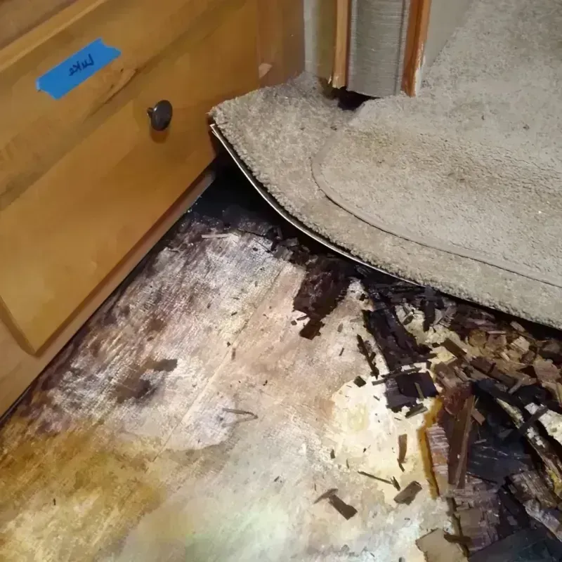 Best Wood Floor Water Damage Service in Holly Ridge, NC